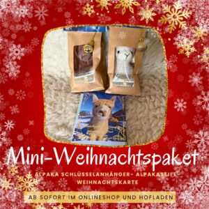 Mini Weihnachtspaket