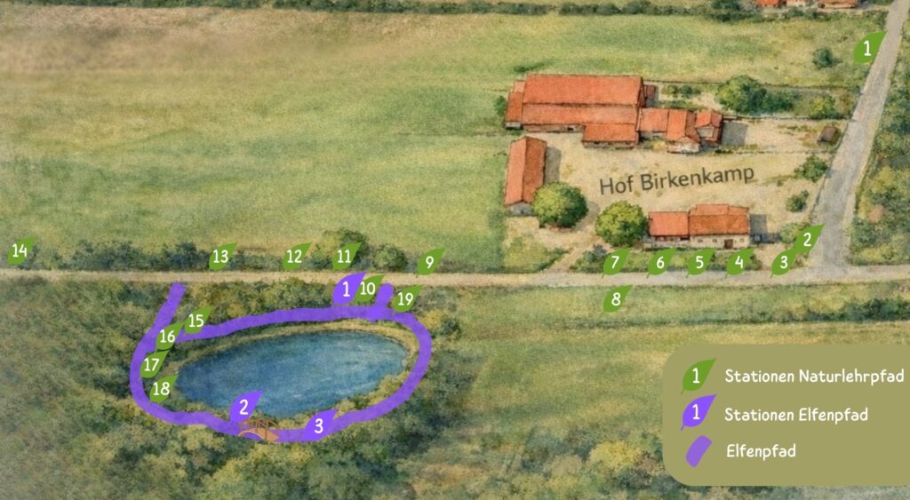 Übersichtskarte: Hof Birkenkamp mit Wegen; Naturlehrpfad-Stationen 1–20 in Grün, Elfenpfad-Stationen 1–3 in Lila rund um den Weiher; lila Linie markiert den Elfenpfad