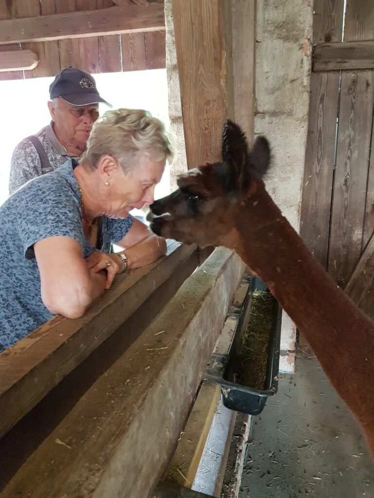 Eine ältere Frau lehnt an der Stallbegrenzung, ein Alpaka nähert sich ihr ruhig mit der Nase. Beide begegnen sich auf Augenhöhe.