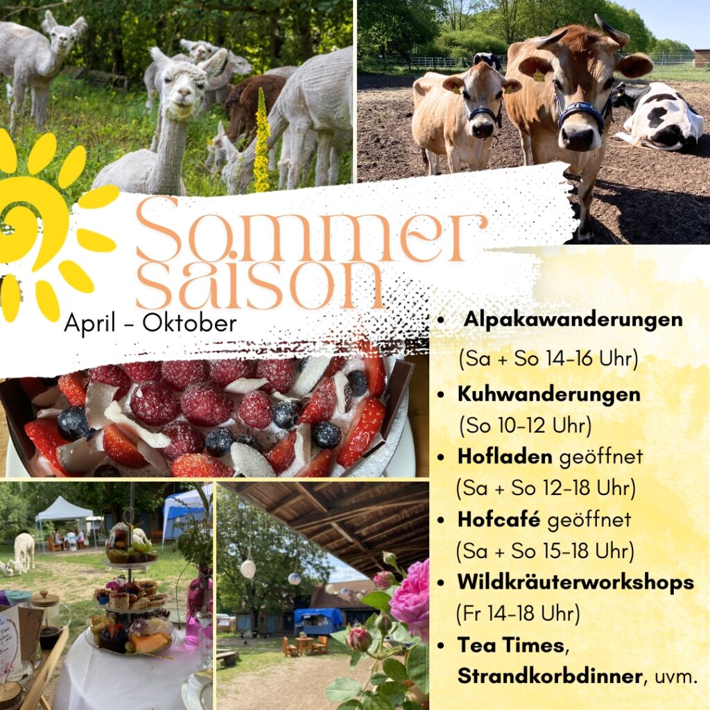 Sommersaison Veranstaltungsübersicht