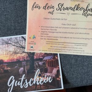 Gutschein Strandkorbdinner mit Alpakas